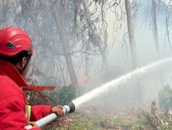 Kebakaran Lahan di Desa Baliara