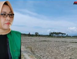 Pemda Didorong Antisipasi Kekeringan, Dengan Bangun Embung dan Sumur Bor