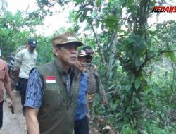 Pemda Pantau Langsung Titik Karhutla Avolua dan Uevolo