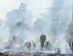Karhutla Meningkat, Didominasi Aktivitas Pembakaran Lahan Warga