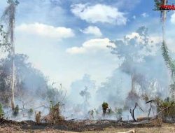 BPBD Catat 20 Kejadian Karhutla Bulan Januari – Februari