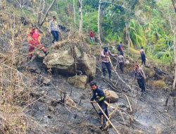 TPHP Catat Sementara 52,5 Hektare Lahan Pertanian Terdampak Karhutla