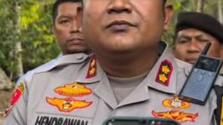 Polisi Selidiki Pemicu Karhutla di Desa Avolua