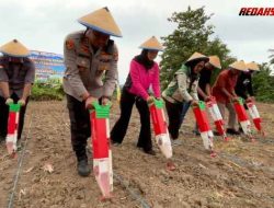 Polres Parigi Moutong Tanam Jagung Serentak Kuartal I