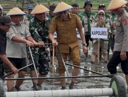 Pemda Target Produktivitas Padi Meningkat Lewat Penerapan PM-AAS