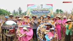 Panen Jagung, Kapolres Hendrawan Turut Serahkan Alsintan