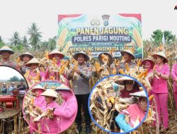 Panen Jagung, Kapolres Hendrawan Turut Serahkan Alsintan