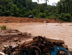 Peti Sipayo Telah Terobos Kawasan HPT