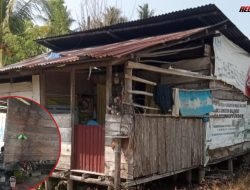 Rumah Terancam Roboh, Hawadia Luput Dari Bantuan