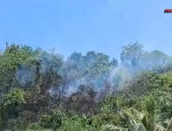 Seluruh KPH di Sulteng Diinstruksikan Masif Cegah Karhutla