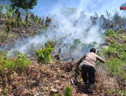 Dua Hektare Lahan di Sausu Tambu Terbakar