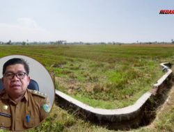 5.533 Hektar Sawah di Balinggi Terdampak Kekurangan Air