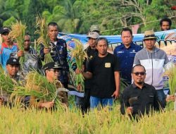 Bupati Erwin Panen Perdana Padi dari Cetak Sawah Rakyat
